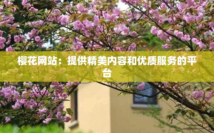樱花网站：提供精美内容和优质服务的平台