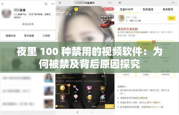 夜里 100 种禁用的视频软件：为何被禁及背后原因探究