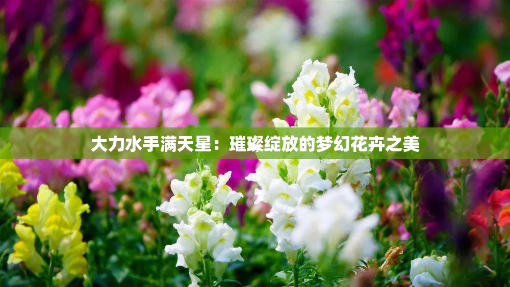 大力水手满天星：璀璨绽放的梦幻花卉之美