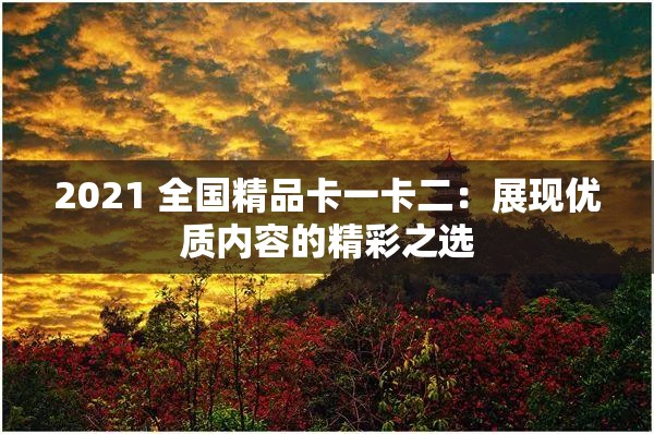 2021 全国精品卡一卡二：展现优质内容的精彩之选