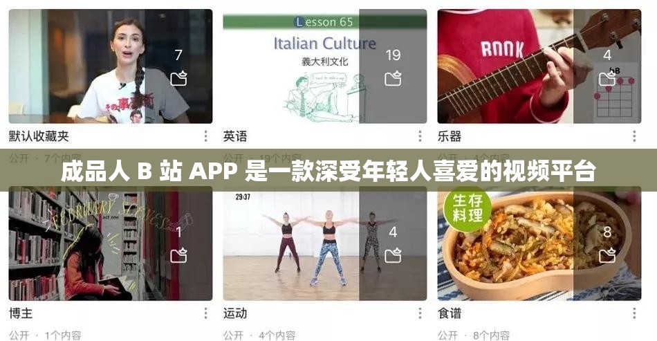 成品人 B 站 APP 是一款深受年轻人喜爱的视频平台