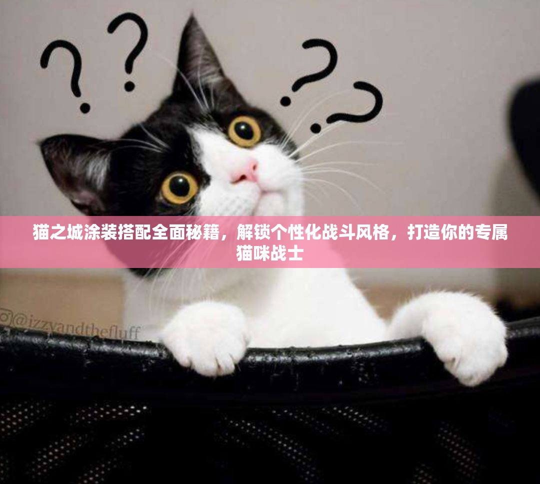 猫之城涂装搭配全面秘籍，解锁个性化战斗风格，打造你的专属猫咪战士