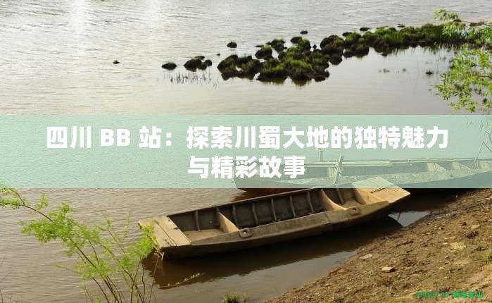 四川 BB 站：探索川蜀大地的独特魅力与精彩故事