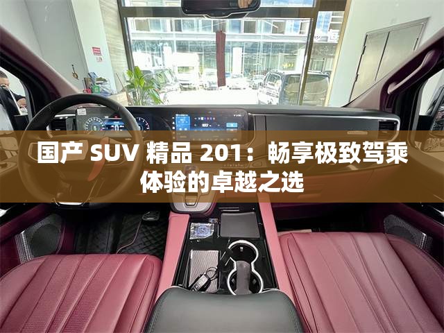 国产 SUV 精品 201：畅享极致驾乘体验的卓越之选