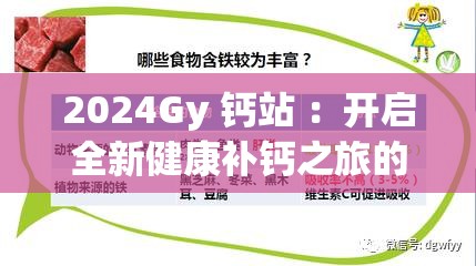 2024Gy 钙站 ：开启全新健康补钙之旅的先锋站点