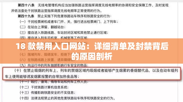 18 款禁用入口网站：详细清单及封禁背后的原因剖析