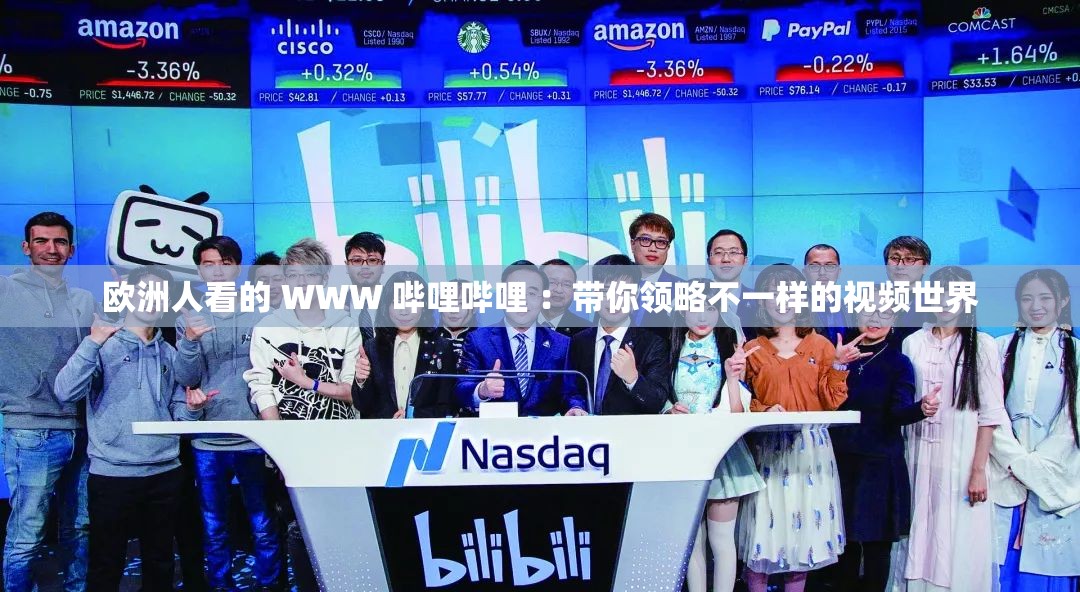 欧洲人看的 WWW 哔哩哔哩 ：带你领略不一样的视频世界