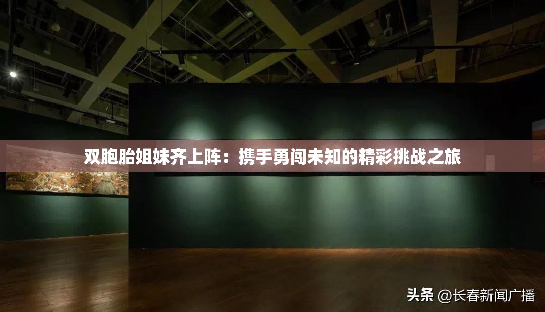 双胞胎姐妹齐上阵：携手勇闯未知的精彩挑战之旅