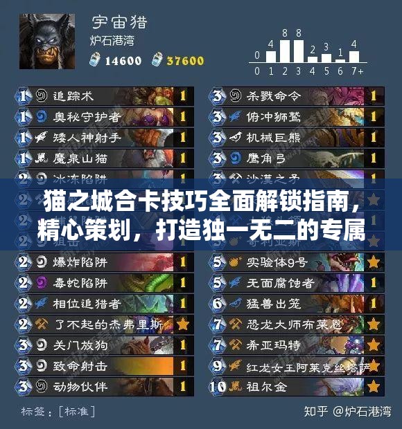 猫之城合卡技巧全面解锁指南，精心策划，打造独一无二的专属战斗策略