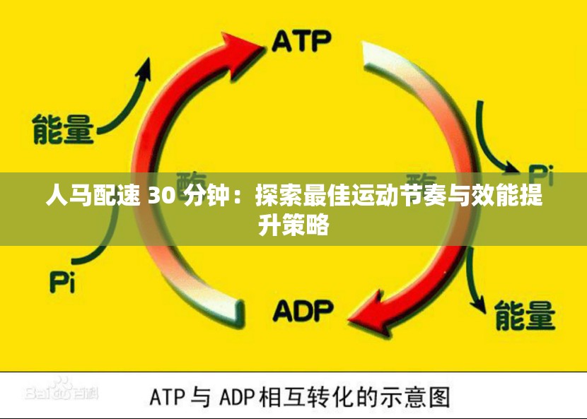 人马配速 30 分钟：探索最佳运动节奏与效能提升策略