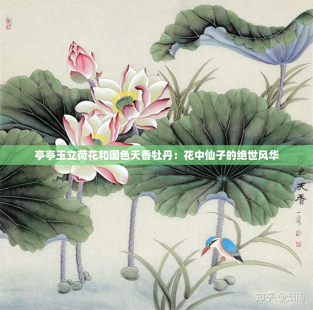亭亭玉立荷花和国色天香牡丹：花中仙子的绝世风华