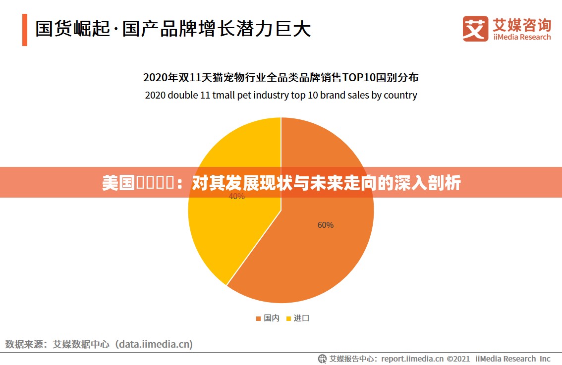 美国乄乄乄乄：对其发展现状与未来走向的深入剖析