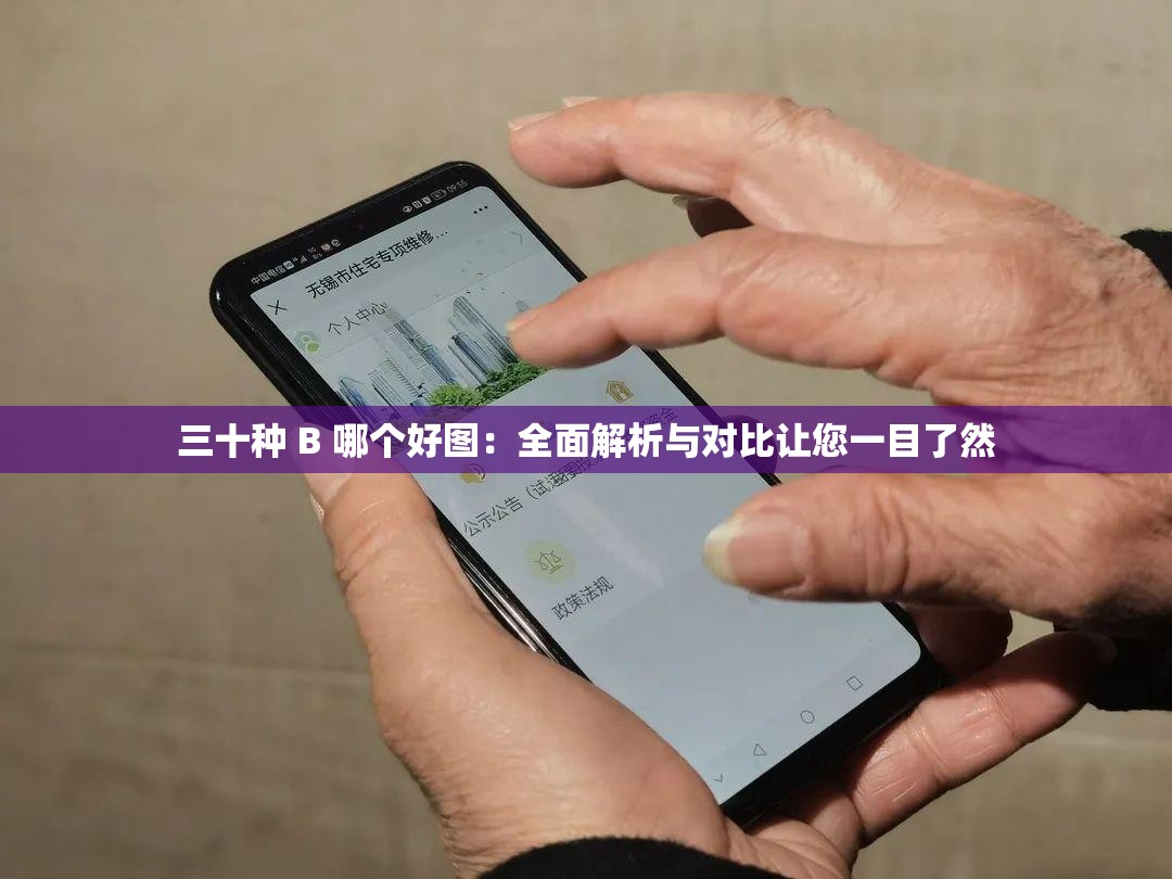 三十种 B 哪个好图：全面解析与对比让您一目了然