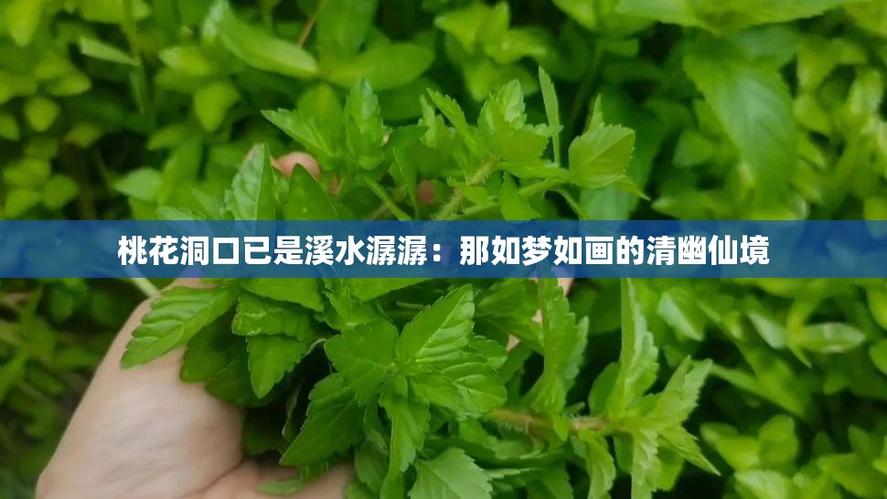 桃花洞口已是溪水潺潺：那如梦如画的清幽仙境