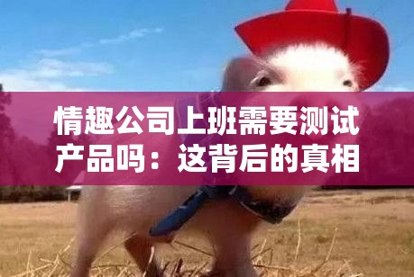 情趣公司上班需要测试产品吗：这背后的真相与挑战