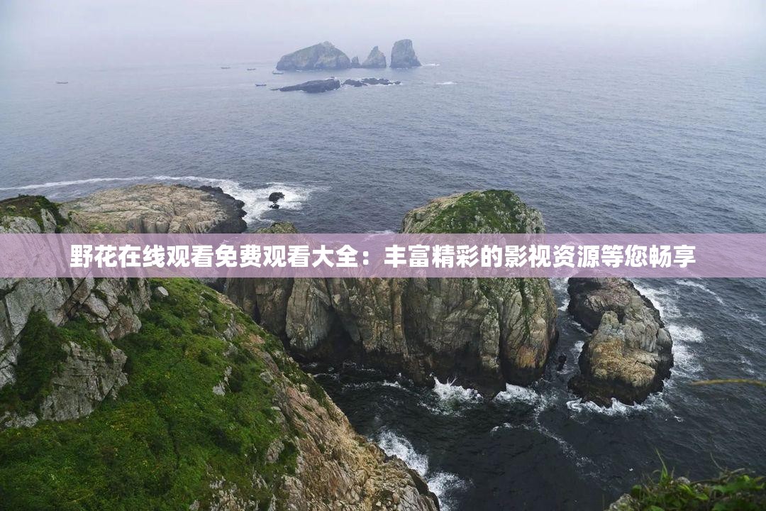 野花在线观看免费观看大全：丰富精彩的影视资源等您畅享