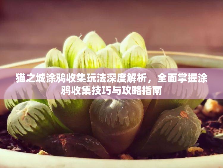 猫之城涂鸦收集玩法深度解析，全面掌握涂鸦收集技巧与攻略指南