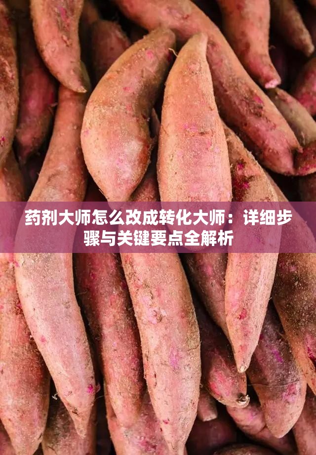 药剂大师怎么改成转化大师：详细步骤与关键要点全解析