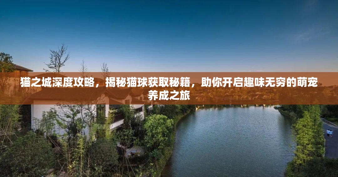猫之城深度攻略，揭秘猫球获取秘籍，助你开启趣味无穷的萌宠养成之旅