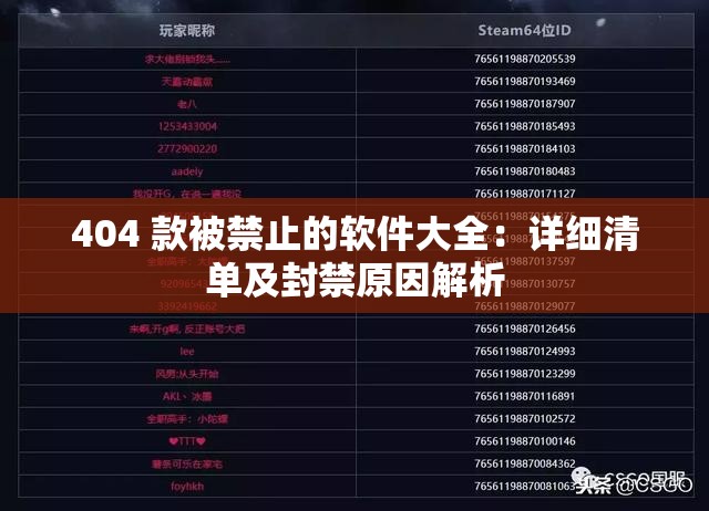 404 款被禁止的软件大全：详细清单及封禁原因解析