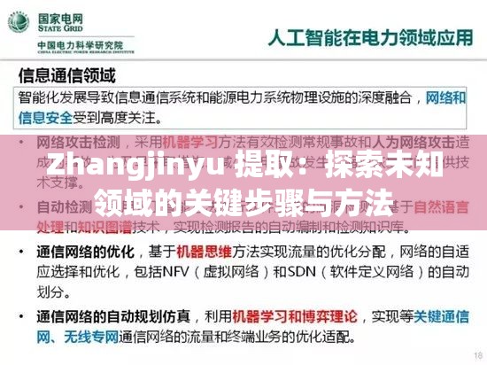 Zhangjinyu 提取：探索未知领域的关键步骤与方法
