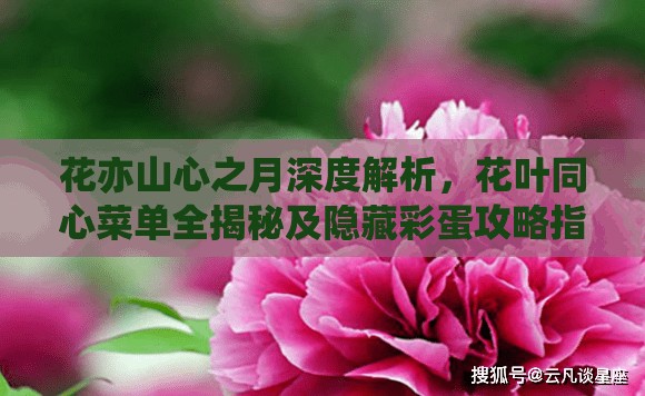 花亦山心之月深度解析，花叶同心菜单全揭秘及隐藏彩蛋攻略指南