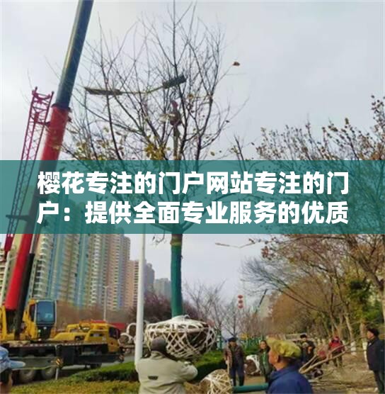 樱花专注的门户网站专注的门户：提供全面专业服务的优质平台