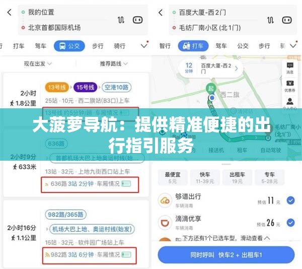 大菠萝导航：提供精准便捷的出行指引服务