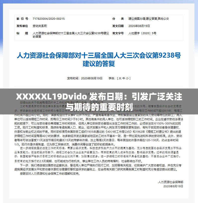 XXXXXL19Dvido 发布日期：引发广泛关注与期待的重要时刻