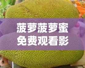 菠萝菠萝蜜免费观看影视：畅享海量精彩影视作品