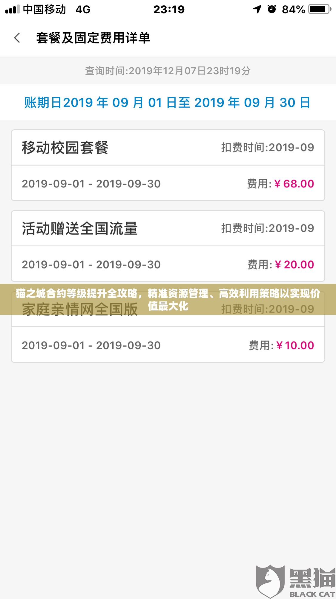 猫之城合约等级提升全攻略，精准资源管理、高效利用策略以实现价值最大化