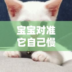 宝宝对准它自己慢慢动：探索宝宝独特行为背后的奥秘