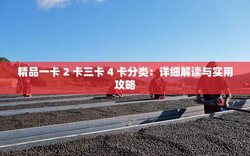 精品一卡 2 卡三卡 4 卡分类：详细解读与实用攻略