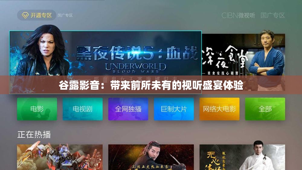 谷露影音：带来前所未有的视听盛宴体验
