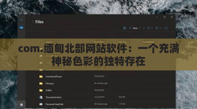 com.缅甸北部网站软件：一个充满神秘色彩的独特存在