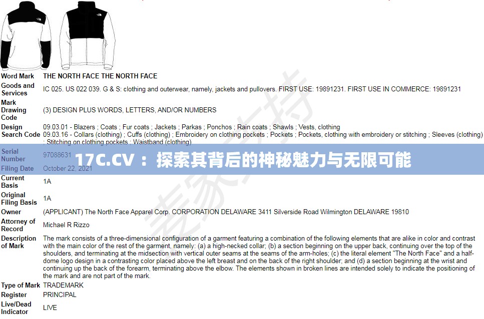 17C.CV ：探索其背后的神秘魅力与无限可能