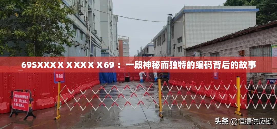 69SXXXⅩⅩXXⅩⅩ69 ：一段神秘而独特的编码背后的故事