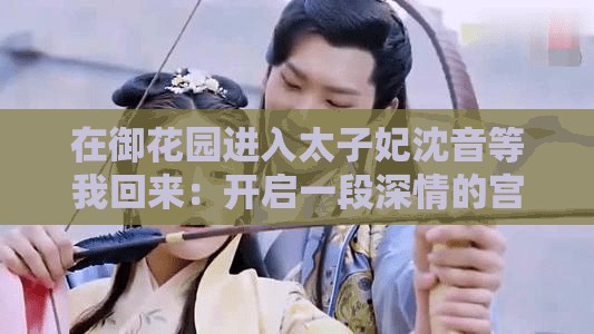 在御花园进入太子妃沈音等我回来：开启一段深情的宫廷之约