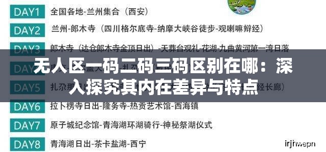 无人区一码二码三码区别在哪：深入探究其内在差异与特点