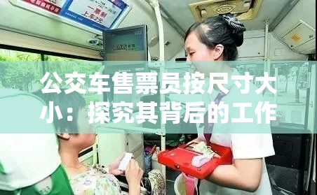 公交车售票员按尺寸大小：探究其背后的工作标准与规范