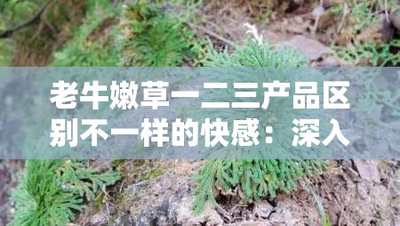 老牛嫩草一二三产品区别不一样的快感：深入探究其独特魅力所在