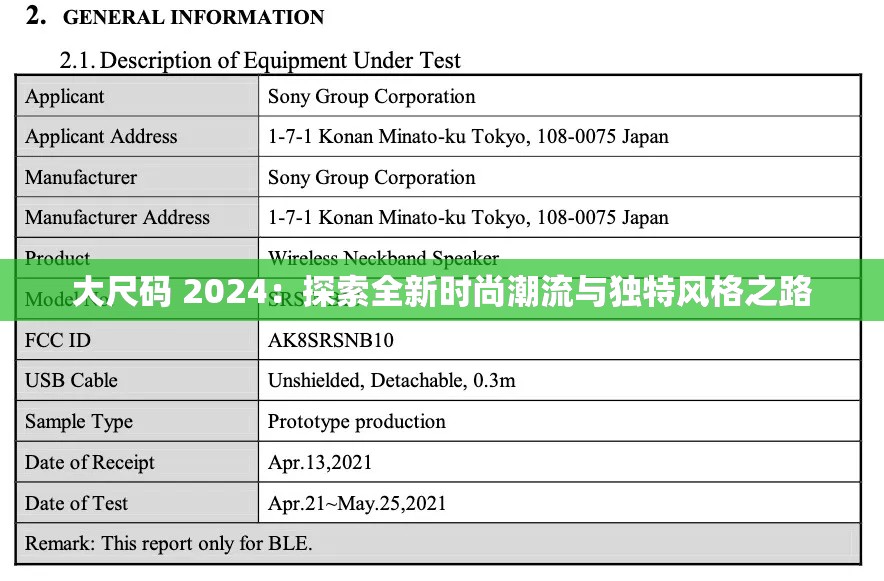 大尺码 2024：探索全新时尚潮流与独特风格之路