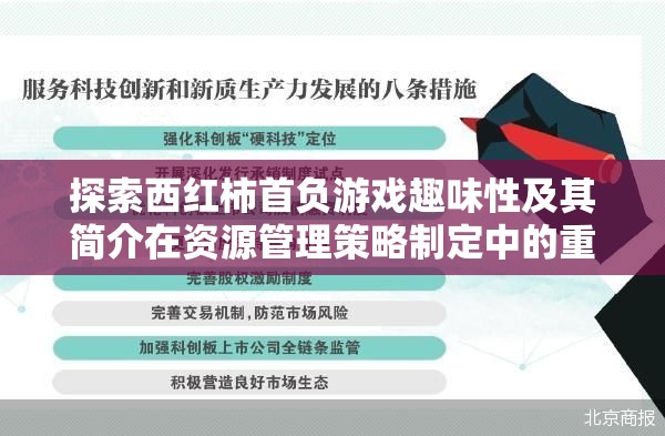 探索西红柿首负游戏趣味性及其简介在资源管理策略制定中的重要性