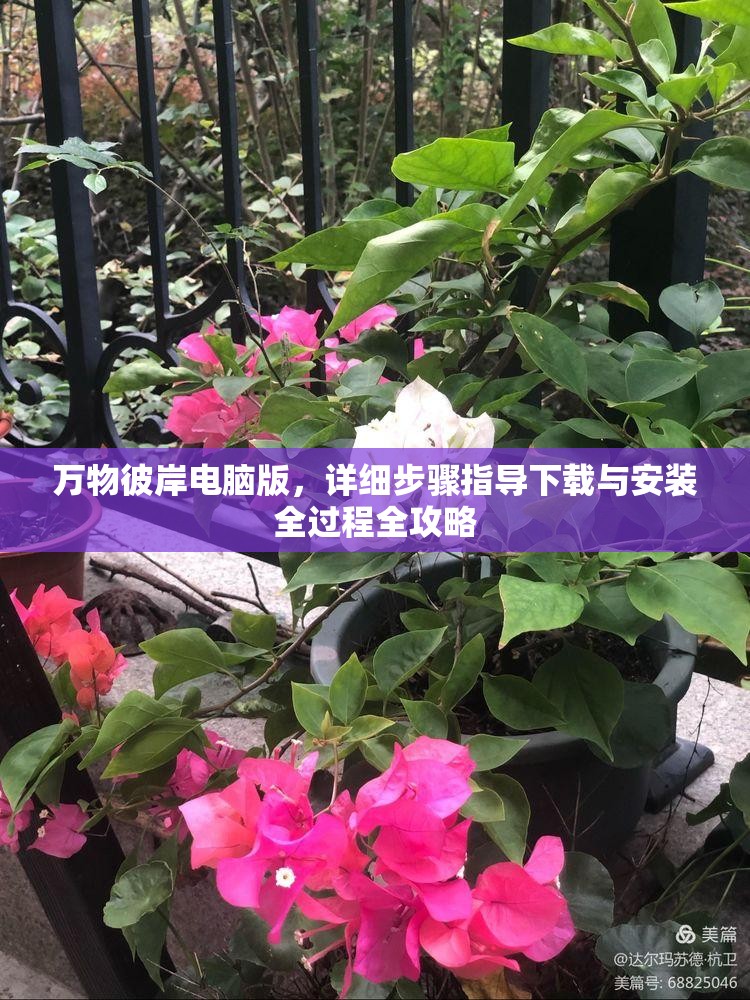 万物彼岸电脑版，详细步骤指导下载与安装全过程全攻略