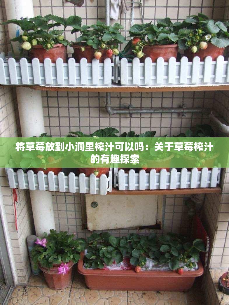 将草莓放到小洞里榨汁可以吗：关于草莓榨汁的有趣探索