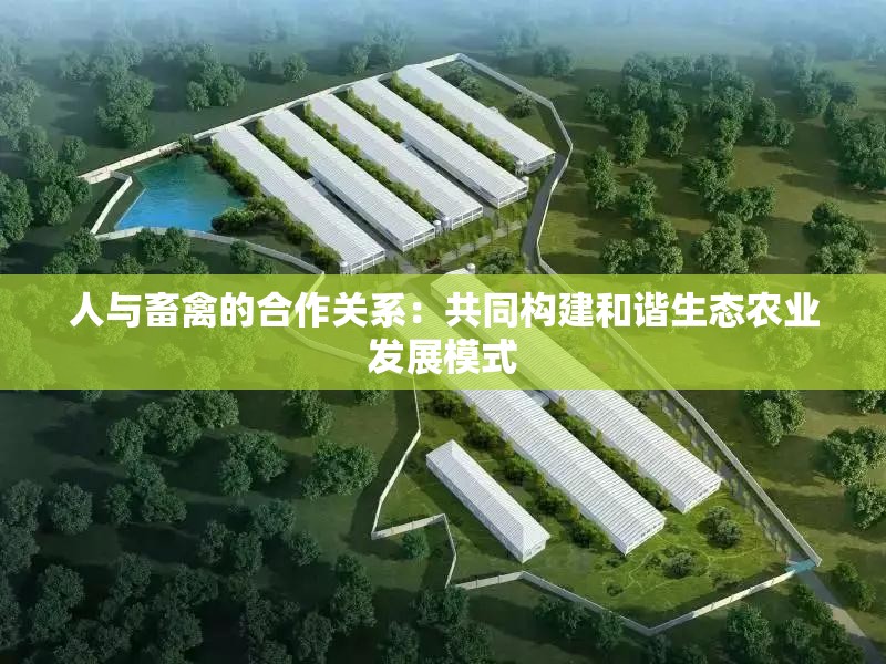 人与畜禽的合作关系：共同构建和谐生态农业发展模式