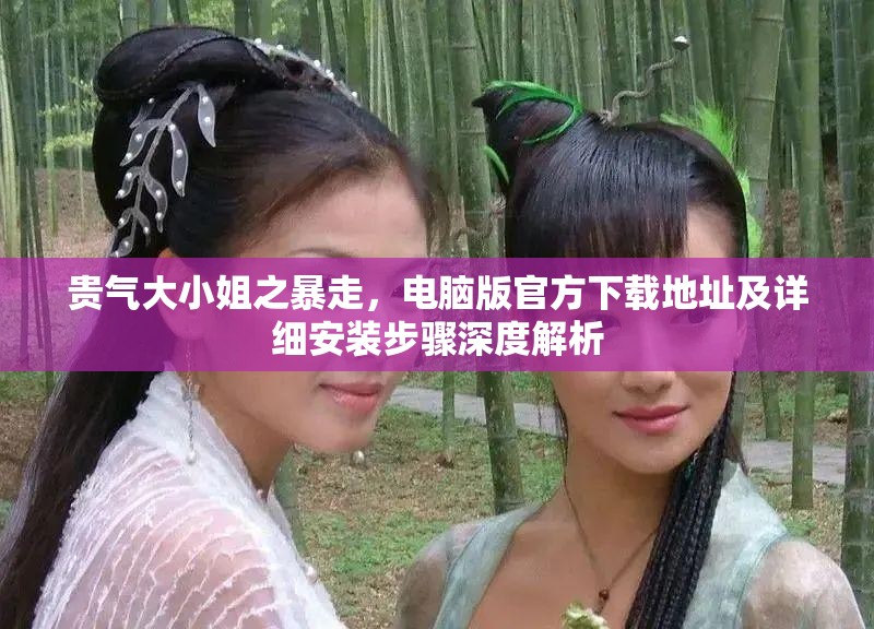 贵气大小姐之暴走，电脑版官方下载地址及详细安装步骤深度解析