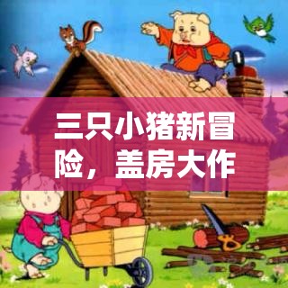 三只小猪新冒险，盖房大作战中的创意与智慧精彩瞬间大揭秘