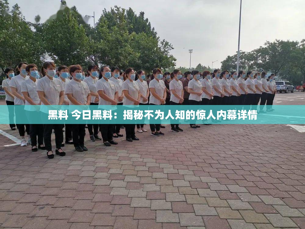 黑料 今日黑料：揭秘不为人知的惊人内幕详情