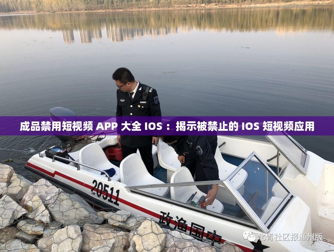 成品禁用短视频 APP 大全 IOS ：揭示被禁止的 IOS 短视频应用
